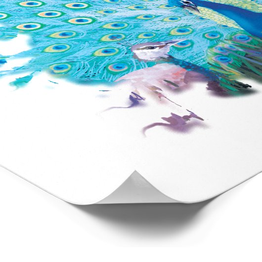 Poster Esprit de paon (Coin)