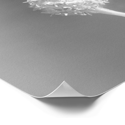 Poster Esprit du vent (Coin)