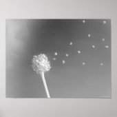 Poster Esprit du vent (Devant)