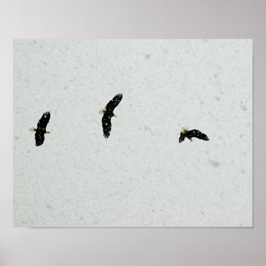 Poster Esprit du vol (Devant)