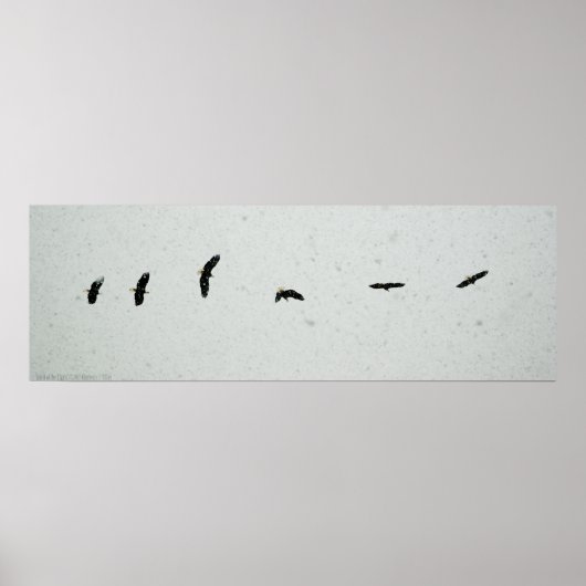 Poster Esprit du vol (Devant)