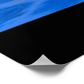 Poster Esprit D'Un Dauphin (Coin)