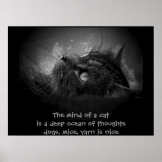 Poster Esprit d'un haiku de chat