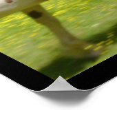 Poster Esprit libre (Coin)