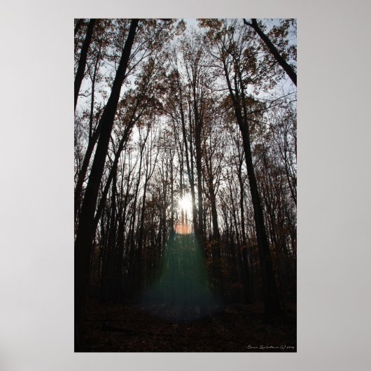 Poster Esprit mystique de la forêt Imprimer #015 (Devant)
