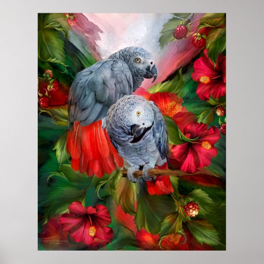 Poster Esprits tropiques - Gris africains (Devant)