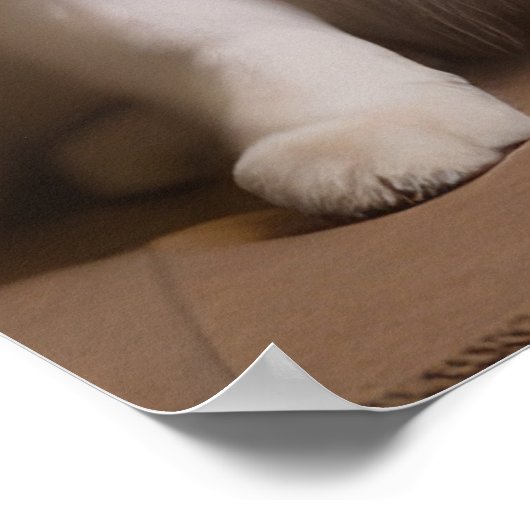 Poster Esquimau américain près de la cheminée Noël (Coin)