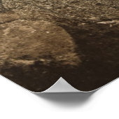 Poster Esquisse 3.16.12 (Coin)