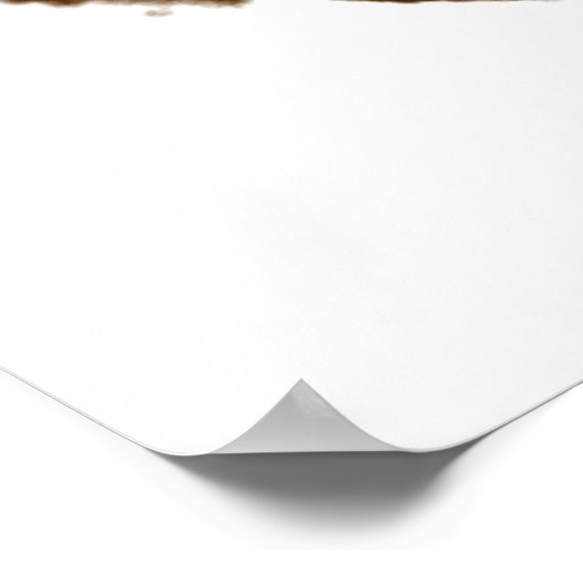 Poster Essai Rorschach d'une carte de lot d'encre en blan (Coin)