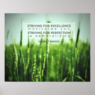 Poster Essayer d'obtenir l'excellence