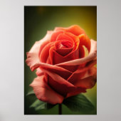 Poster Essence de la Rose (Devant)