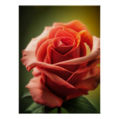 Poster Essence du Rose (Devant)