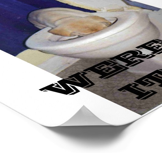 POSTER EST-CE QUE ÇA S'EST PASSÉ ? (Coin)