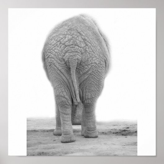 Poster Est-ce que mon cul a l'air grand (Devant)