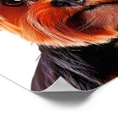 Poster Est-il derrière moi ? (Coin)