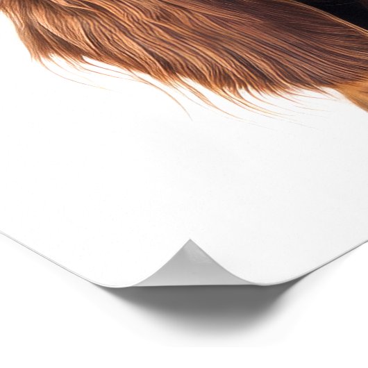 Poster Estampe irlandaise personnalisée (Coin)