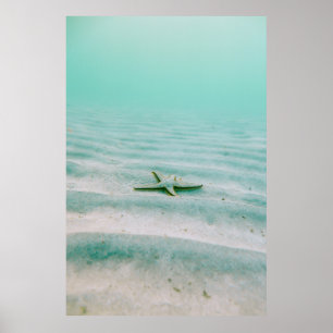 Poster Estarfish blanche sur sable sous l'eau le matin