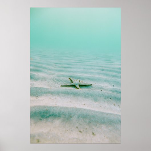 Poster Estarfish blanche sur sable sous l'eau le matin (Devant)