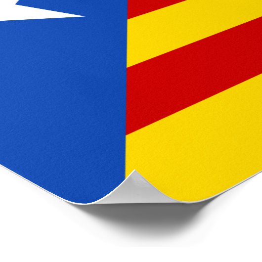 Poster Estelada (Coin)