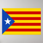 Poster Estelada (Devant)