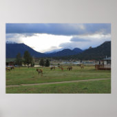 Poster Estes Park, Co (Devant)