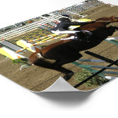 Poster Estes Park Series (1) (Coin)