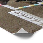 Poster Estes Park Series (3) (Coin)