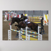 Poster Estes Park Series (3) (Devant)