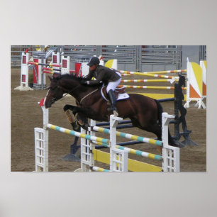 Poster Estes Park Series (3)