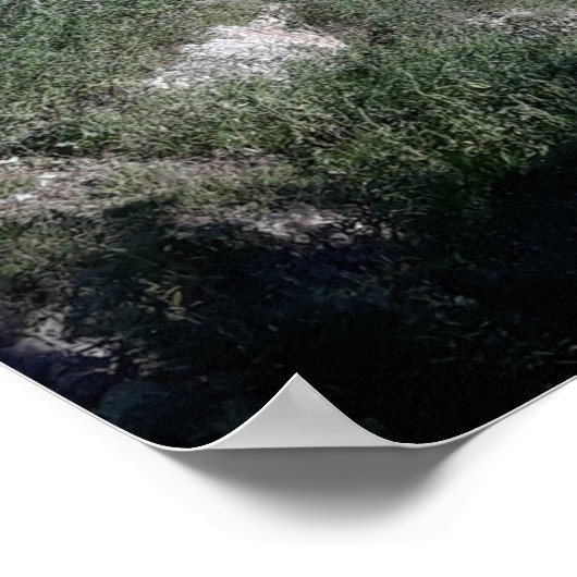 Poster Esztergom Hongrie (Coin)