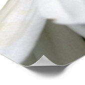 Poster et daisy (Coin)