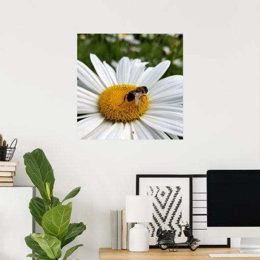 Poster et daisy (Bureau à domicile)