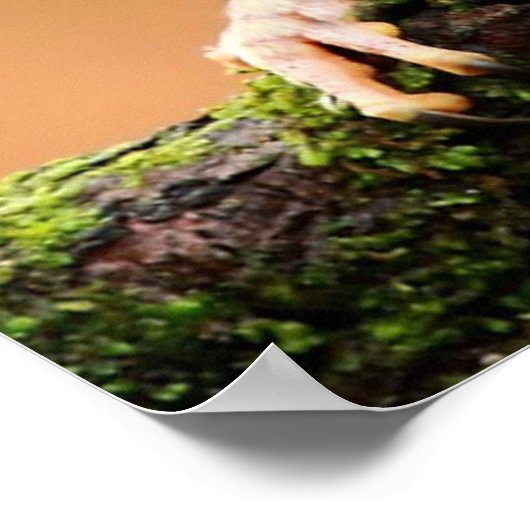 Poster Et J'Étais Comme Quoi ? (Coin)