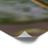 Poster Et le jour est venu.... (Coin)