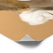 Poster Établissements beagles Imprimer (Coin)
