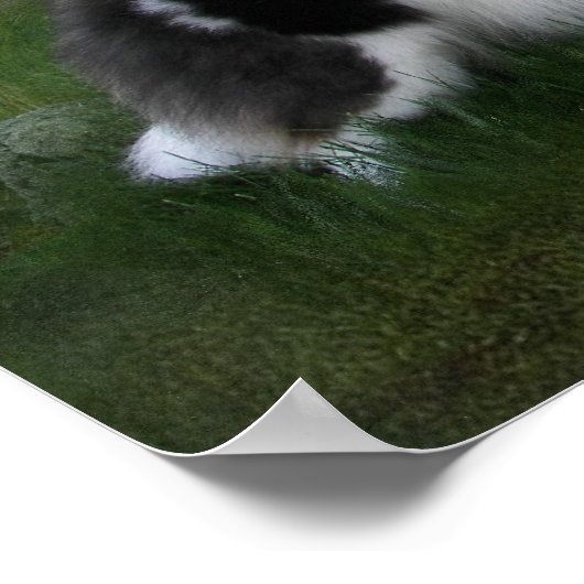 Poster Étagère blanche (Coin)