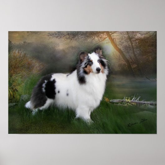 Poster Étagère blanche (Devant)