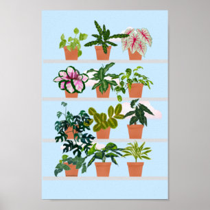 Poster Étagères avec Plantes de maison