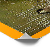 Poster Étang à Sapsucker Woods (Coin)