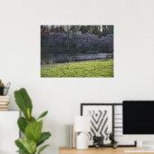 Poster Étang aux arbres à fleurs roses jolis (Bureau à domicile)