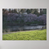 Poster Étang aux arbres à fleurs roses jolis (Devant)