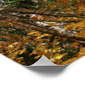 Poster Étang D'Automne, Paysage, À L'Inverse (Coin)