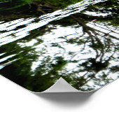 Poster Étang de Lily avec saules de Monet, Giverny, Franc (Coin)