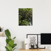 Poster Etang de sel tropical (Bureau à domicile)