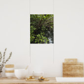 Poster Etang de sel tropical (Cuisine)