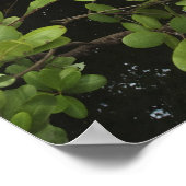 Poster Etang de sel tropical (Coin)