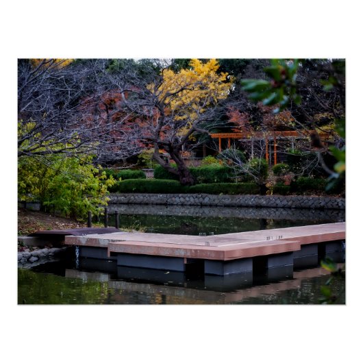 Poster Étang Japonais (Devant)