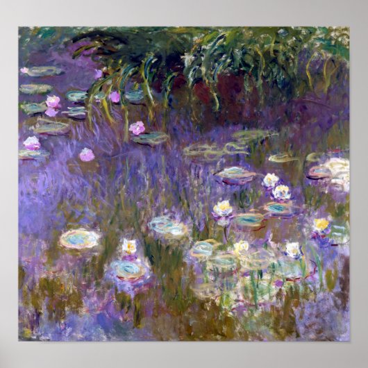 Poster Etang Lily, Monet (Devant)