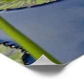 Poster Étang paisible (Coin)