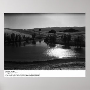 Poster Étang près de Red Bluff par Ansel Adams